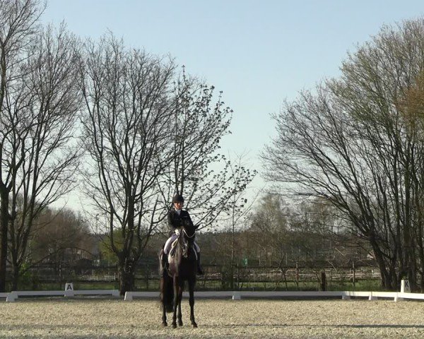 Reitturnier Elmlohe 2025