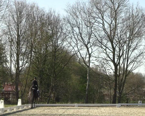 Reitturnier Elmlohe 2025