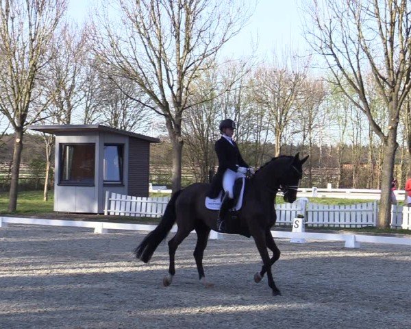 Reitturnier Elmlohe 2025