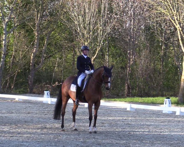 Reitturnier Elmlohe 2025