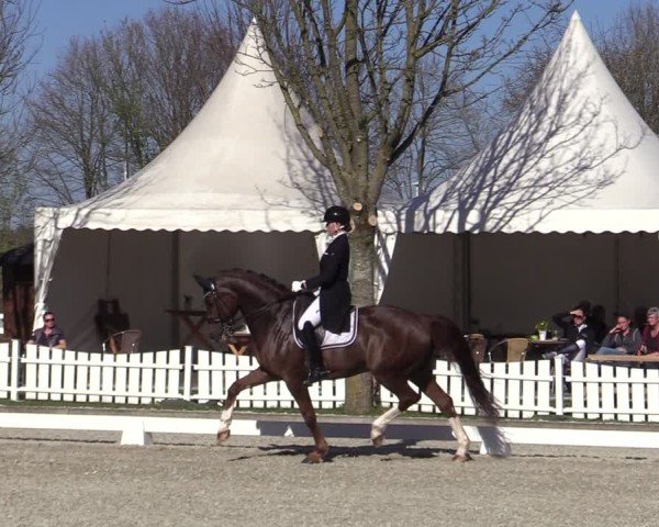 Reitturnier Elmlohe 2025