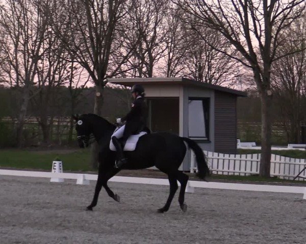 Reitturnier Elmlohe 2025