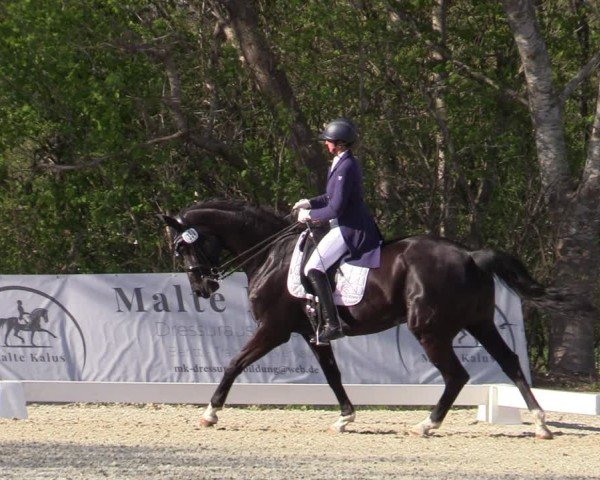 Reitturnier Elmlohe 2025