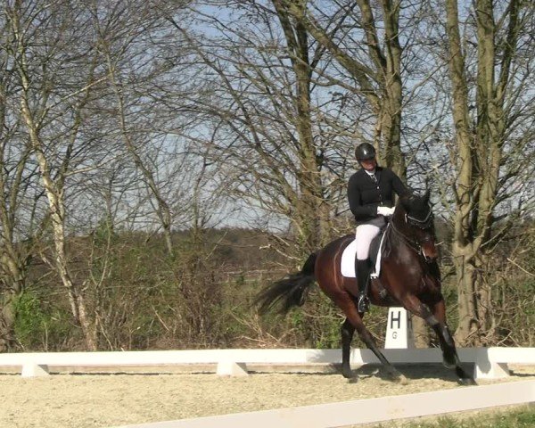 Reitturnier Elmlohe 2025