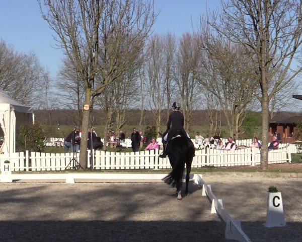 Reitturnier Elmlohe 2025