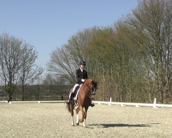 Reitturnier Elmlohe 2025