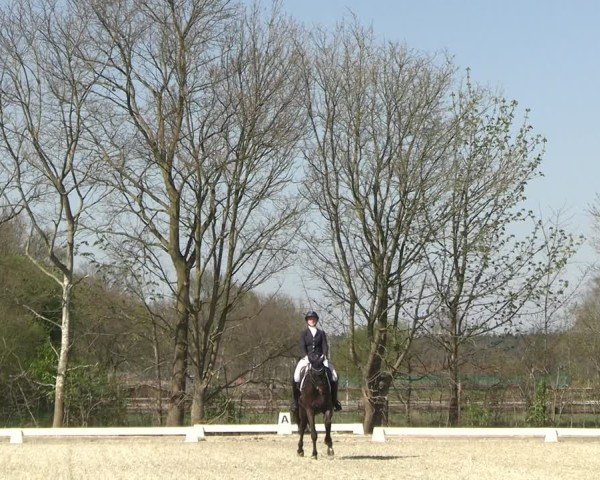 Reitturnier Elmlohe 2025