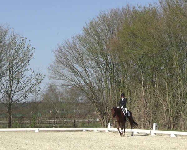 Reitturnier Elmlohe 2025