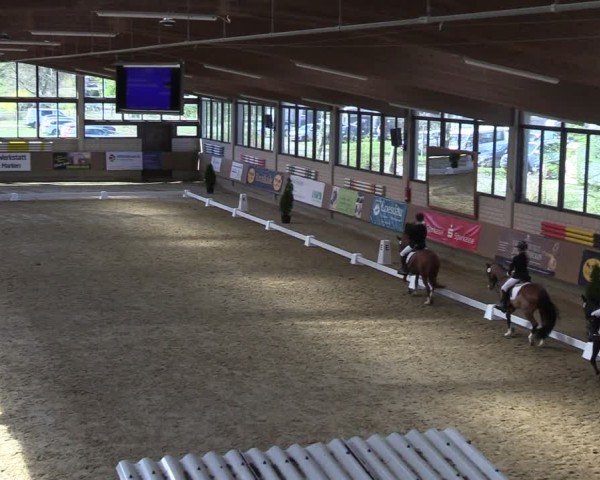 Reitturnier Oelde 2025