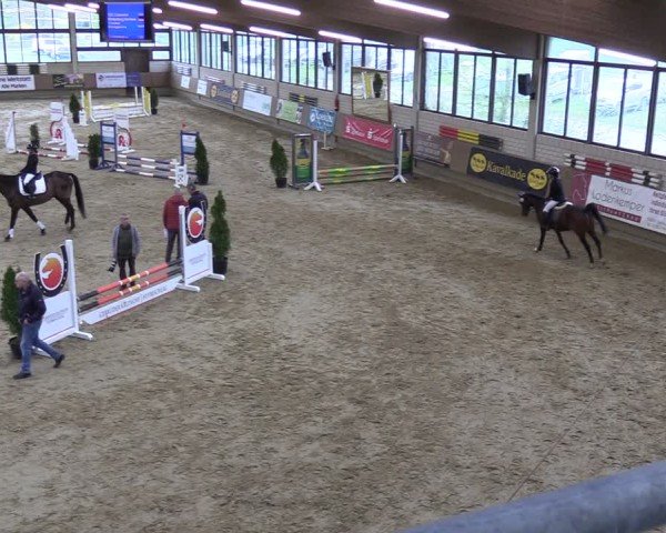Reitturnier Oelde 2025