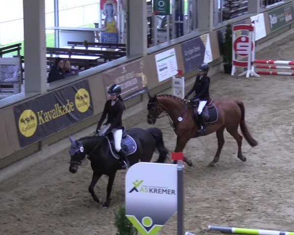 Reitturnier Oelde 2025