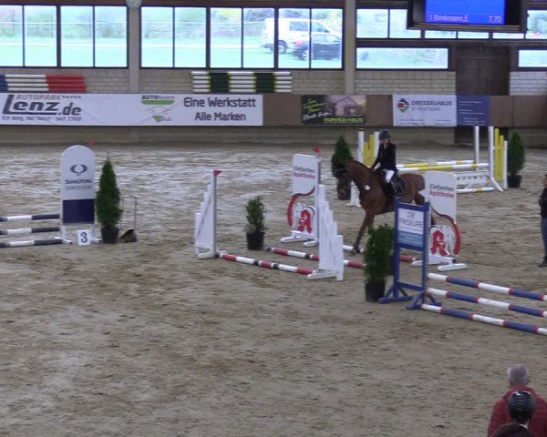 Reitturnier Oelde 2025