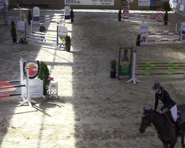 Reitturnier Oelde 2025