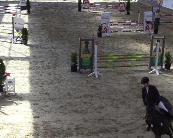 Reitturnier Oelde 2025