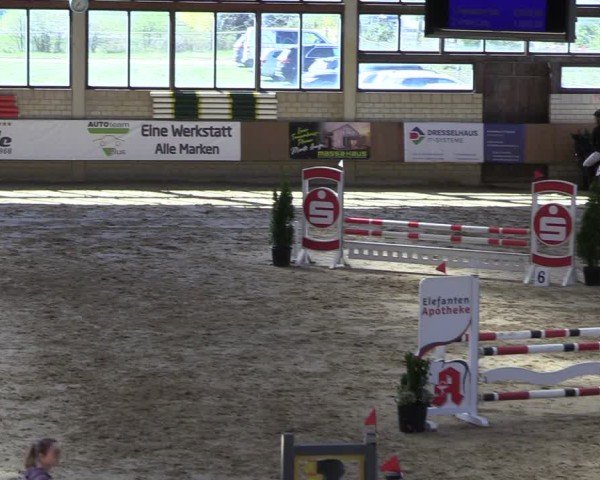 Reitturnier Oelde 2025