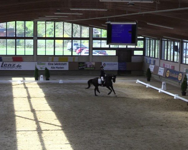 Reitturnier Oelde 2025