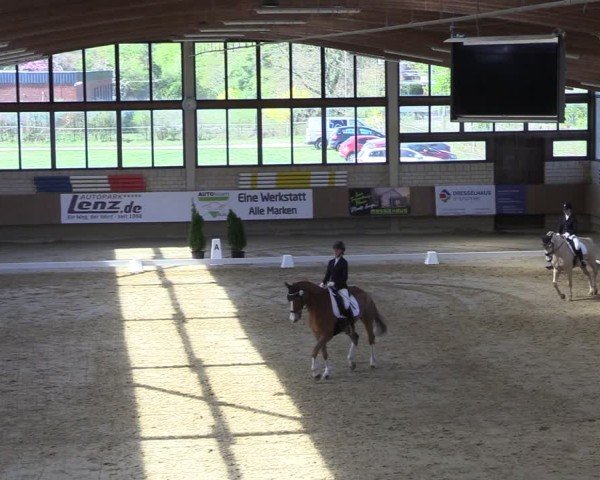 Reitturnier Oelde 2025
