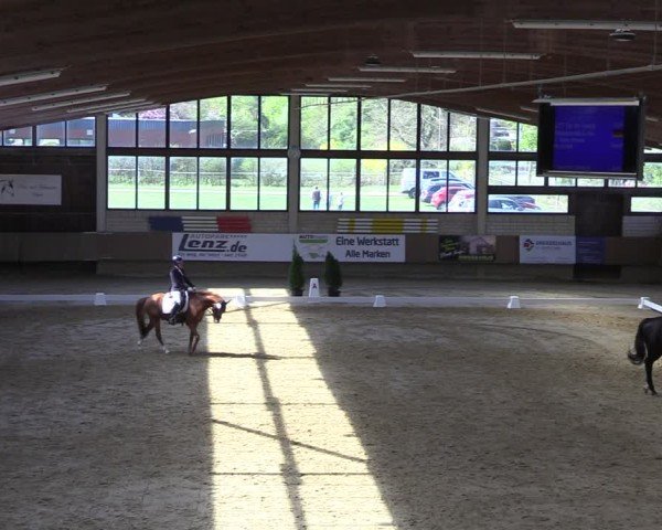 Reitturnier Oelde 2025