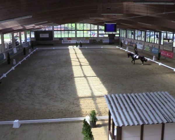 Reitturnier Oelde 2025