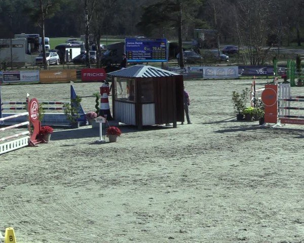 Reitturnier Westergellersen 2025
