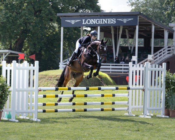 dressage horse Finest Cascadella (Holsteiner, 2013, from Cascadello)