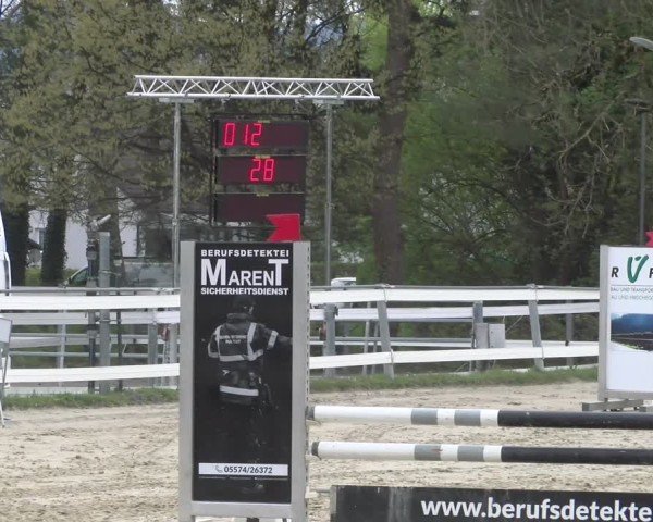 Reitturnier Bregenz 2025