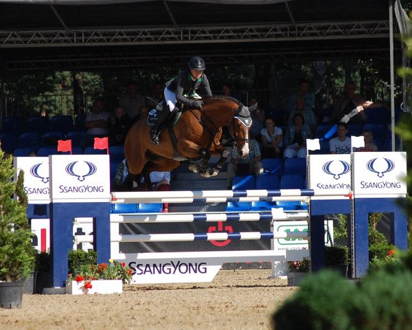jumper Valcetto Ot (Hanoverian, 2010, from Valentino)