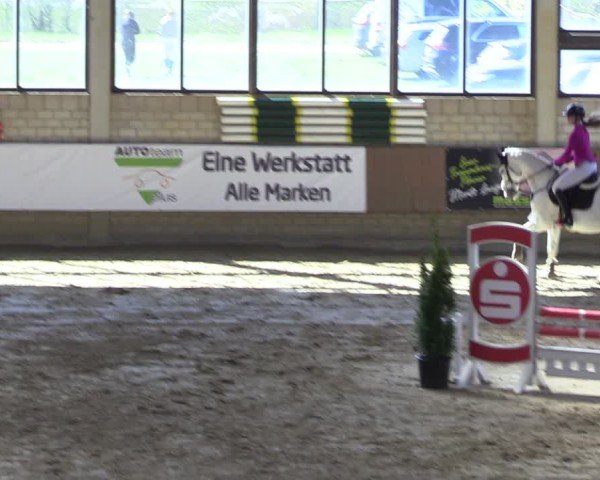 Reitturnier Oelde 2025
