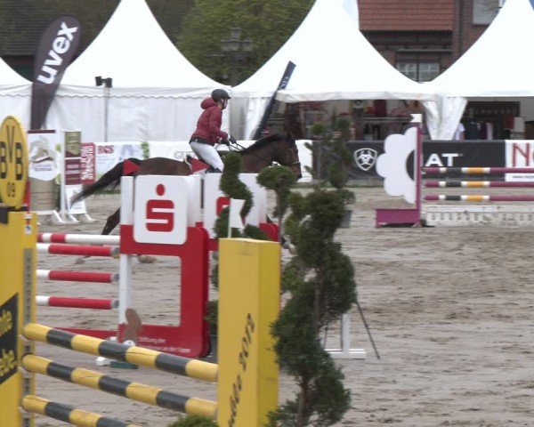 Reitturnier Werne-Lenklar 2025