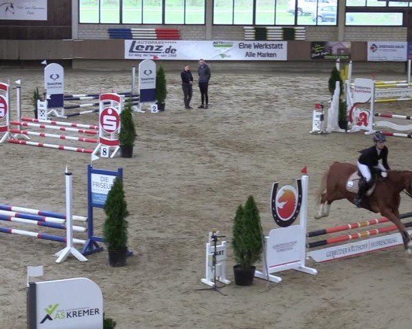 Reitturnier Oelde 2025