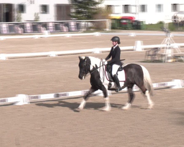 Reitturnier Margarethen am Moos 2025