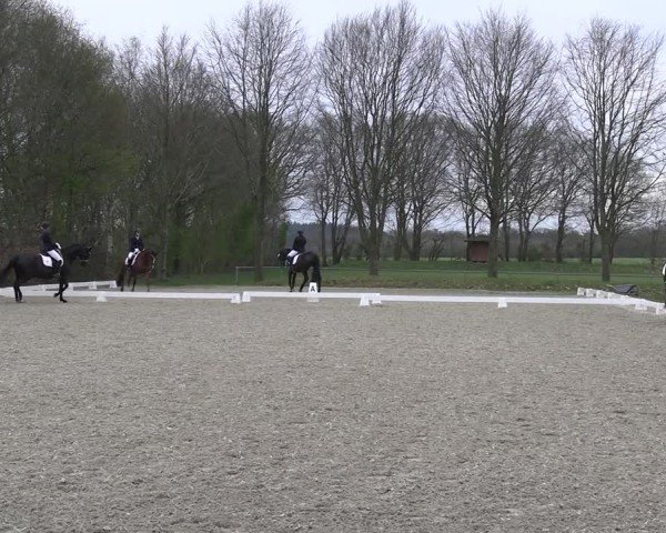 Reitturnier Elmlohe 2025