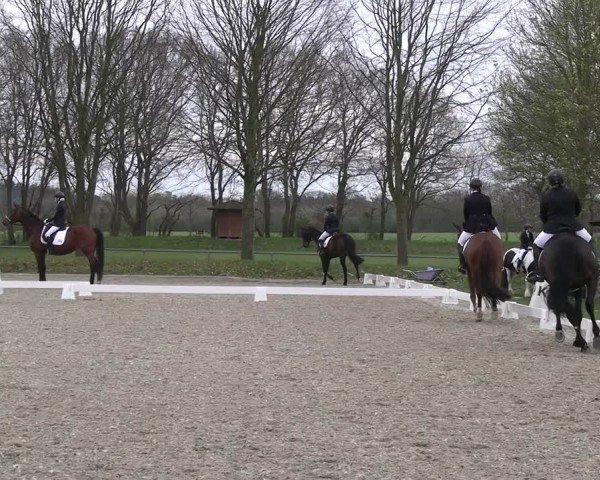 Reitturnier Elmlohe 2025