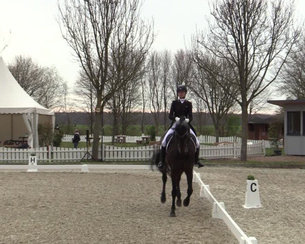 Reitturnier Elmlohe 2025