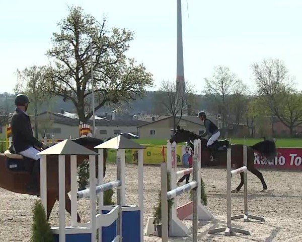 Reitturnier Rot am See- Musdorf 2025