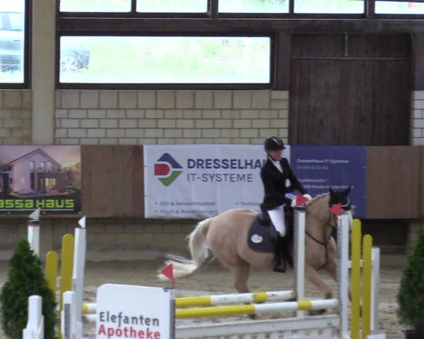 Reitturnier Oelde 2025