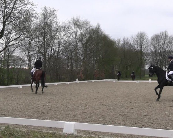 Reitturnier Elmlohe 2025