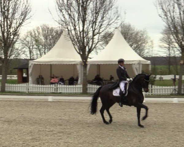 Reitturnier Elmlohe 2025