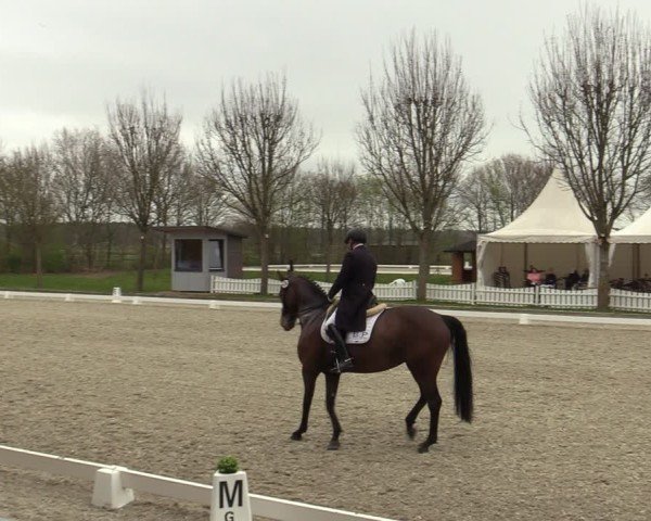 Reitturnier Elmlohe 2025