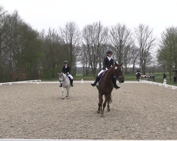 Reitturnier Elmlohe 2025