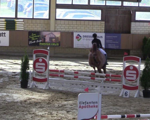 Reitturnier Oelde 2025