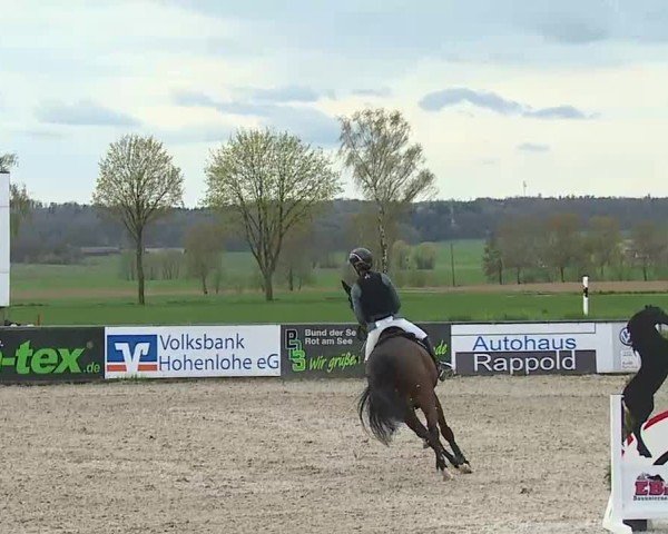 Reitturnier Rot am See- Musdorf 2025