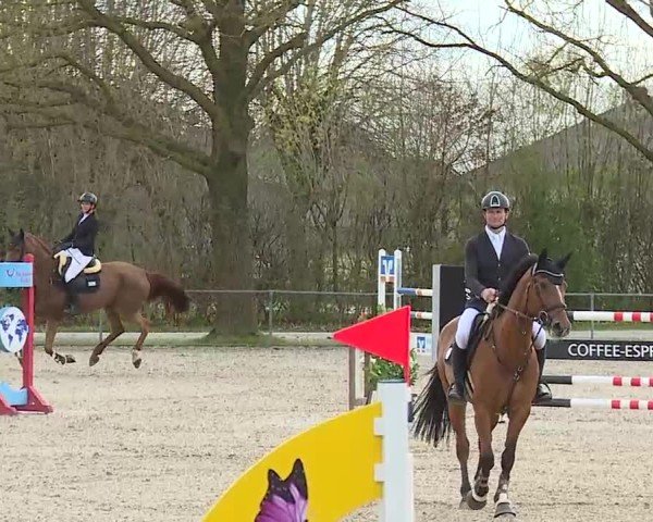 Reitturnier Rot am See- Musdorf 2025