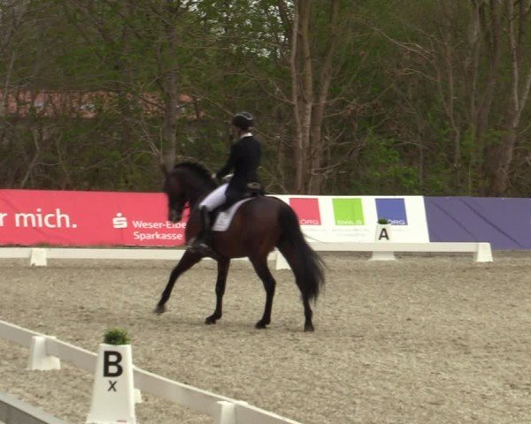 Reitturnier Elmlohe 2025