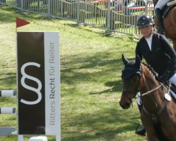 Reitturnier Meißenheim 2025