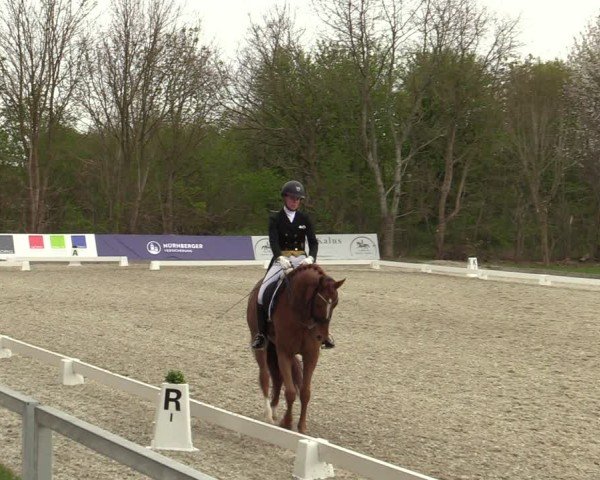 Reitturnier Elmlohe 2025