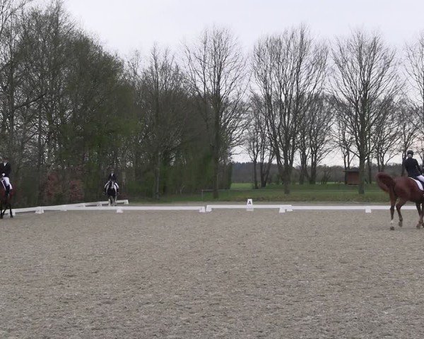Reitturnier Elmlohe 2025