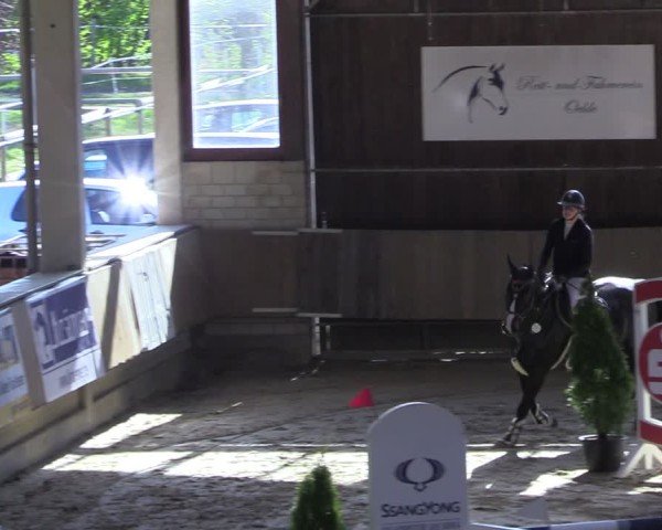 Reitturnier Oelde 2025