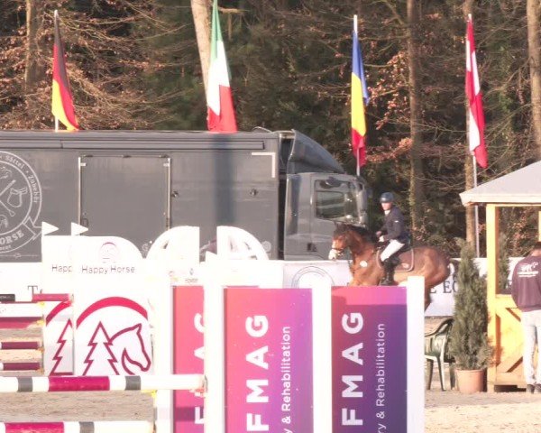 Reitturnier Ranshofen - Braunau am Inn 2025