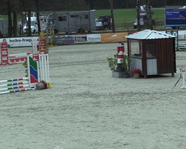 Reitturnier Westergellersen 2025